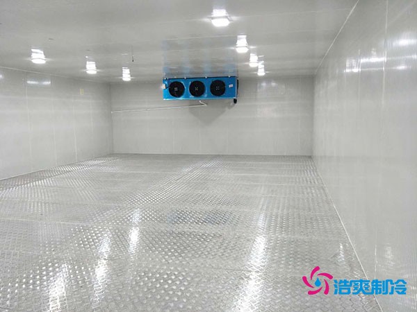 建造100平米-60℃存儲金槍魚的超低溫冷庫造價多少錢？