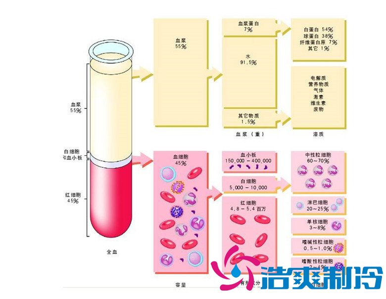 -30℃～-80℃血漿蛋白低溫冷凍庫規(guī)范，冷庫安裝價格